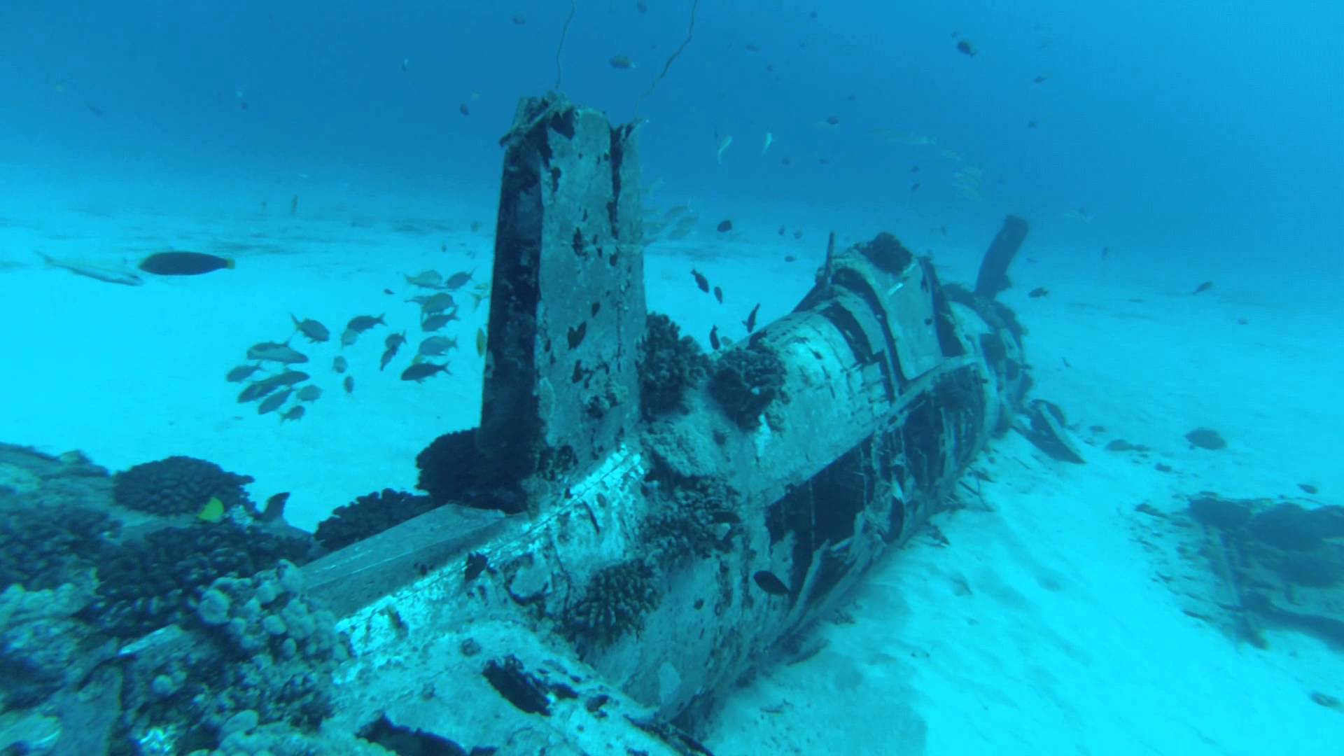 Popular Shipwreck